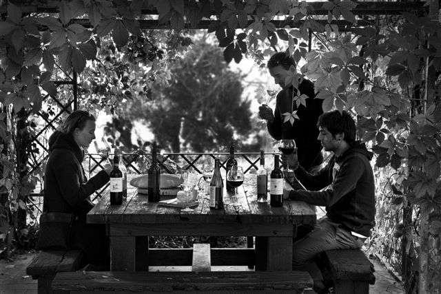 フィレンツェのアグリツーリズモ、ラヴァッキオ