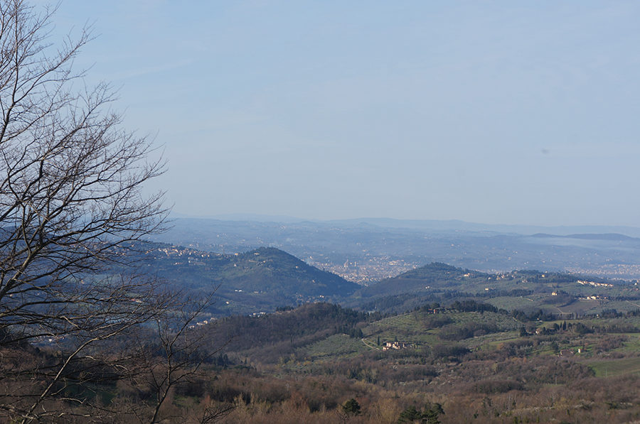 遠景から見たフィレンツェの街